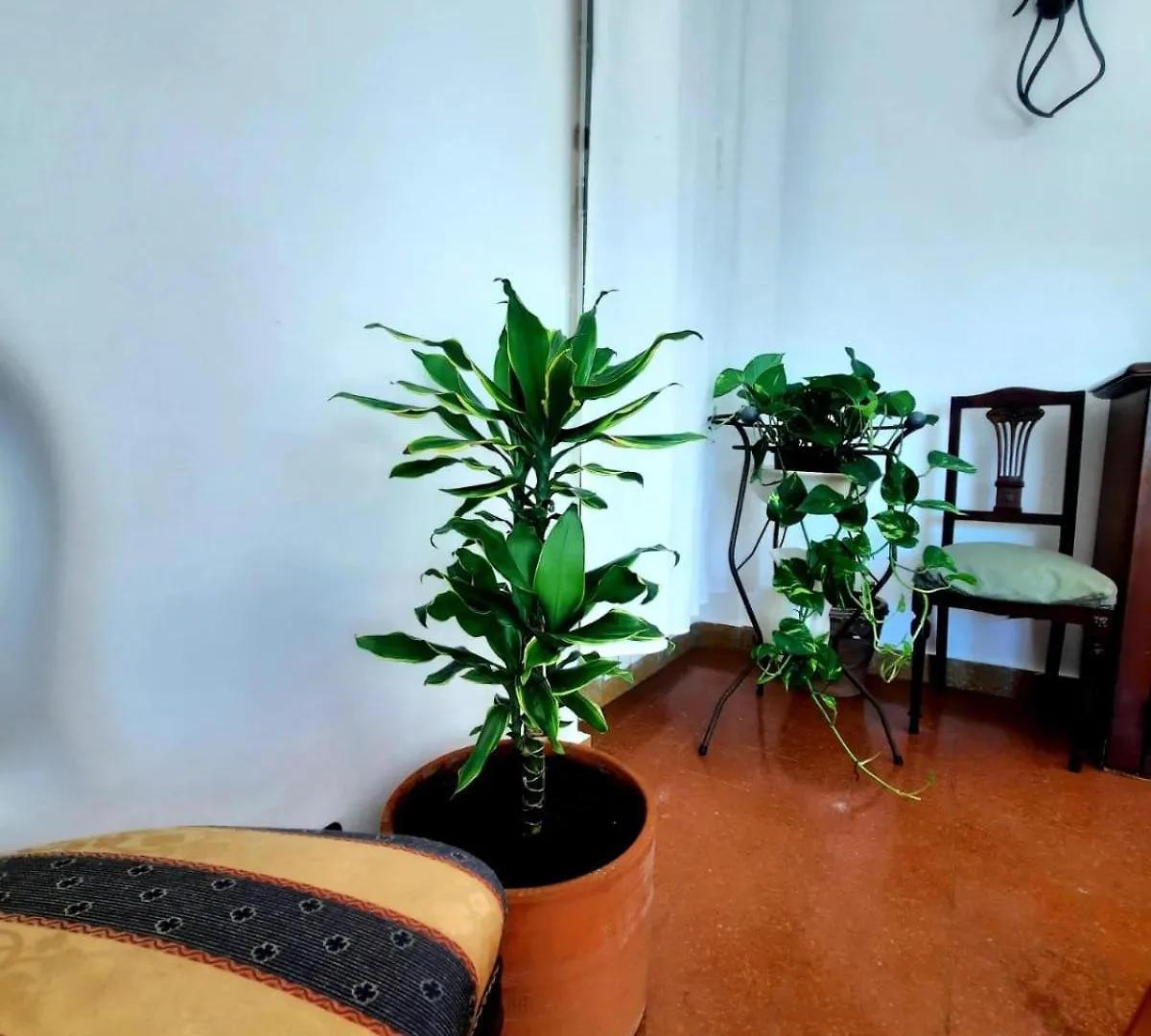 La Rosa Dei Venti Apartment Lido di Ostia