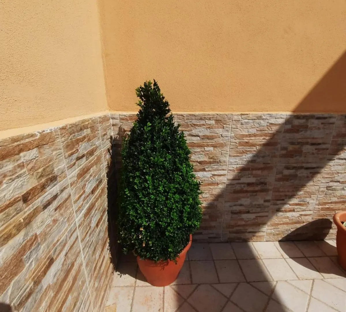 La Rosa Dei Venti Apartment Lido di Ostia 0*,  Italy